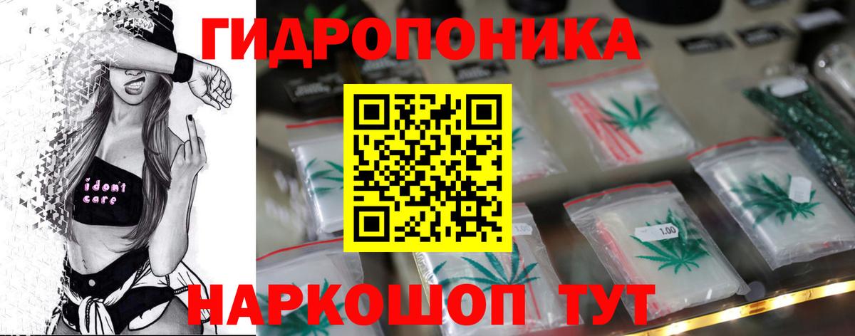 Каннабис OG Kush Малгобек